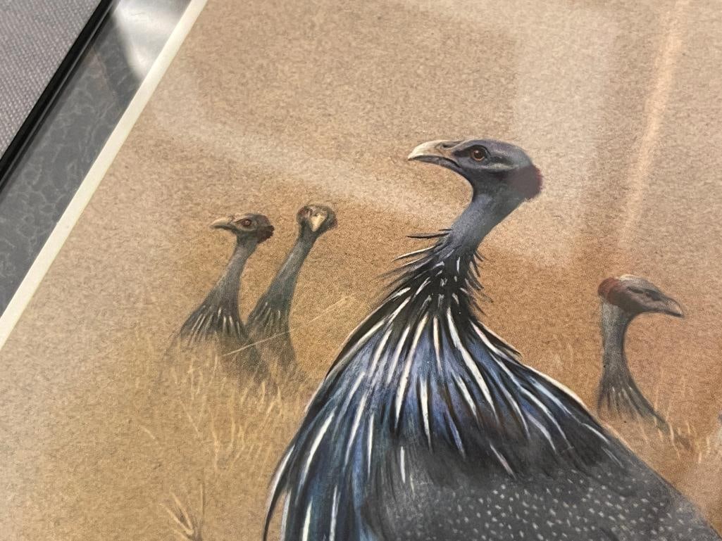 RENA FENNESSY BRITISH ARTIST EAST AFRICA BIRDS PRINTS - 7