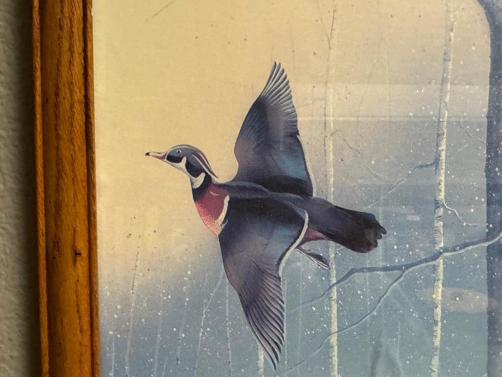 CARLOS RIOS PRINT FEATURING WOOD DUCKS FLYING THROUGH THE TREES - 6