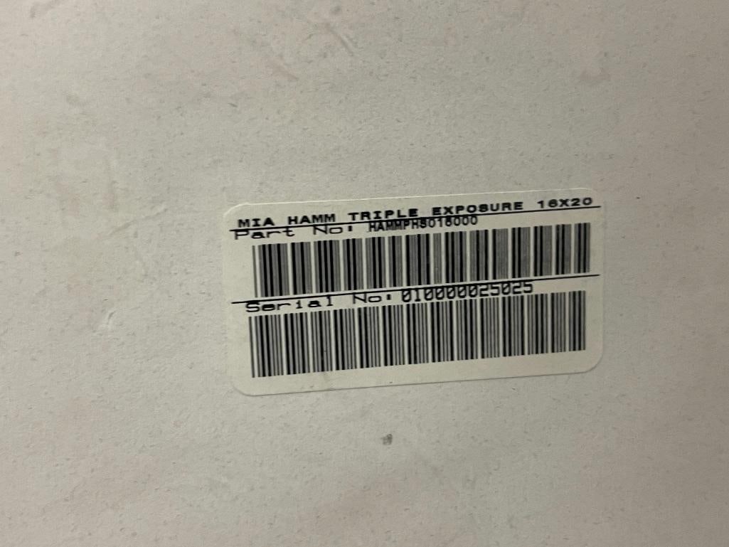 MIA HAMM LIMITED EDITION SIGNED 16X20 PHOTOGRAPH STEINER SPORTS MEMORABILIA - 10