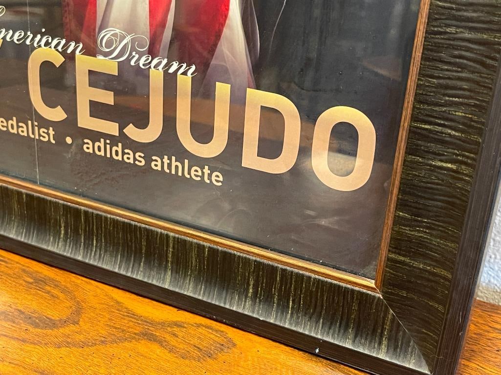 AUTOGRPAHED HENRY CEJUDO MIXED MARTIAL ARTIST OLYMPIC GOLD MEDALIST ADIDAS PROMOTIONAL POSTER - 6