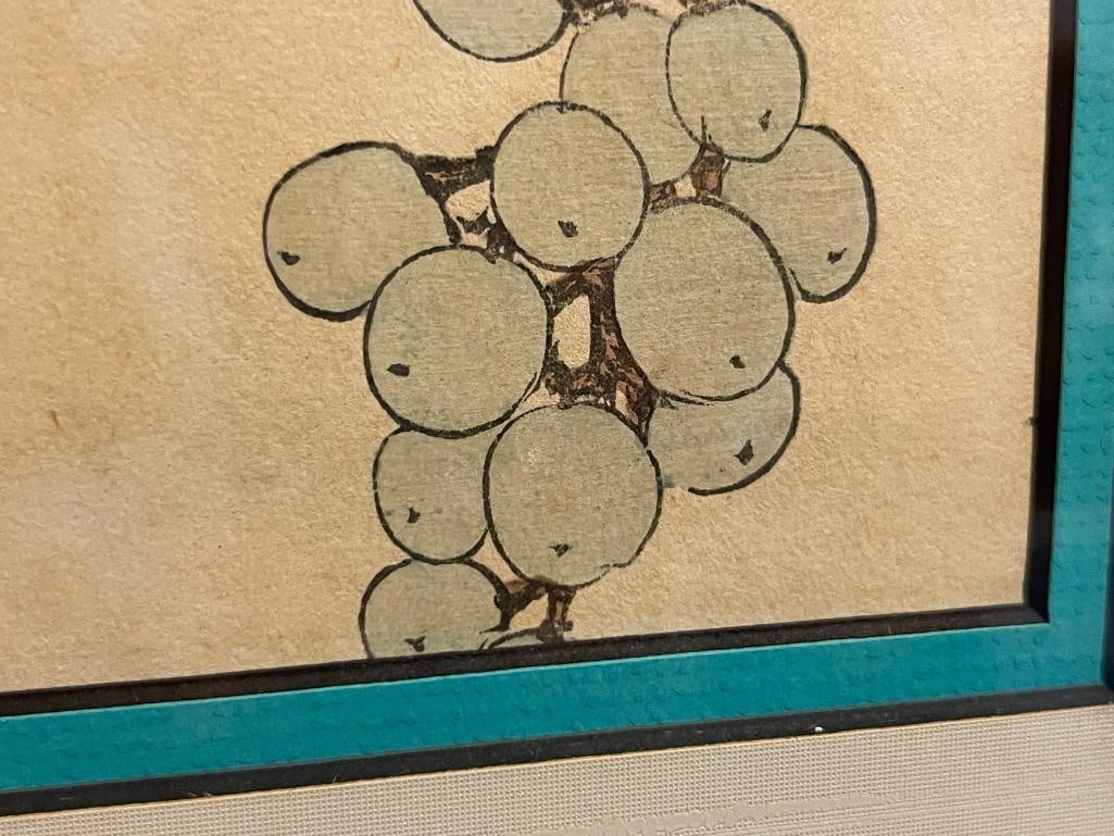 IMAO KEINEN JAPANESE WOODBLOCK AND PAINTER KACHO-E ARTIST BLOCK PRINTS OF BIRDS PERCHED ON TREES - 10