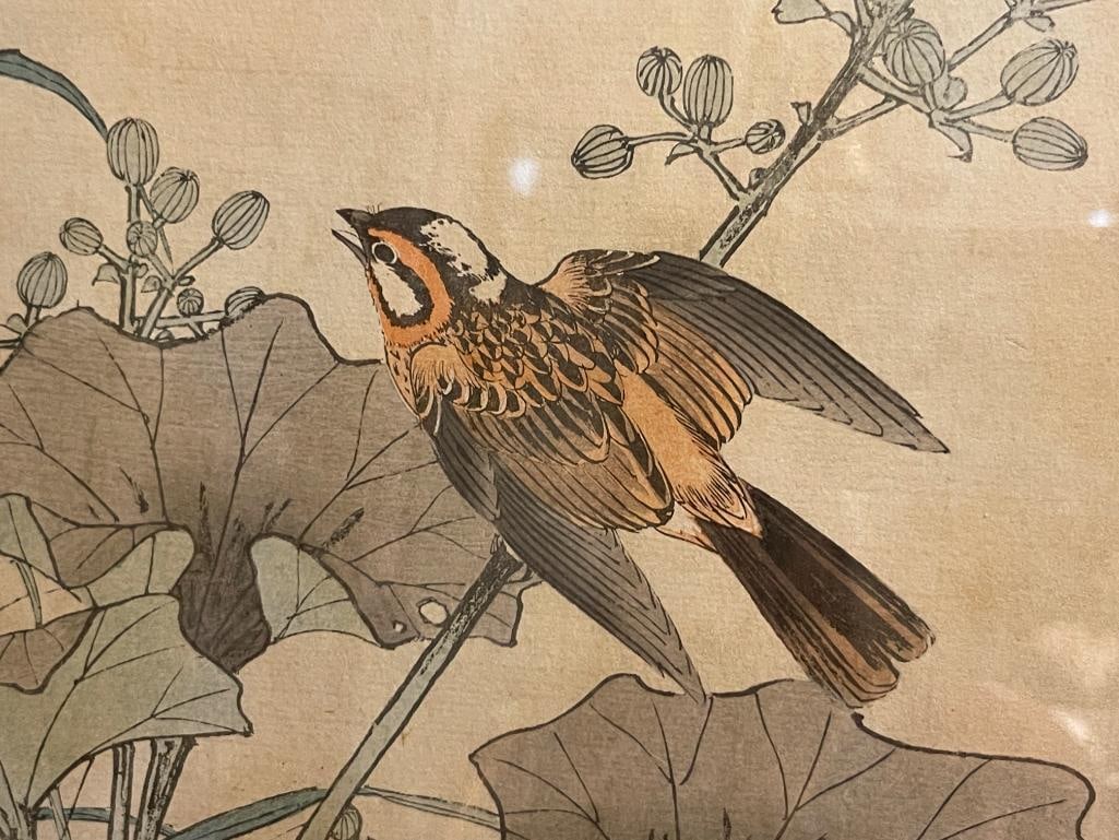 IMAO KEINEN JAPANESE WOODBLOCK AND PAINTER KACHO-E ARTIST BLOCK PRINTS OF BIRDS PERCHED ON TREES - 5