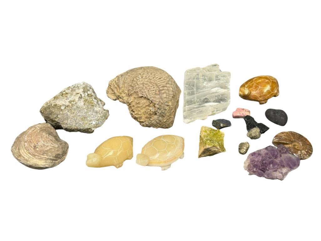 SMALL COLLECTION OF GEOLOGICAL SPECIMEN SAMPLES AND FOSSILS (1 of 9)