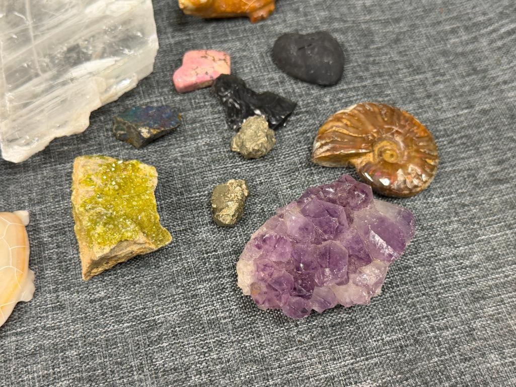 SMALL COLLECTION OF GEOLOGICAL SPECIMEN SAMPLES AND FOSSILS - 2