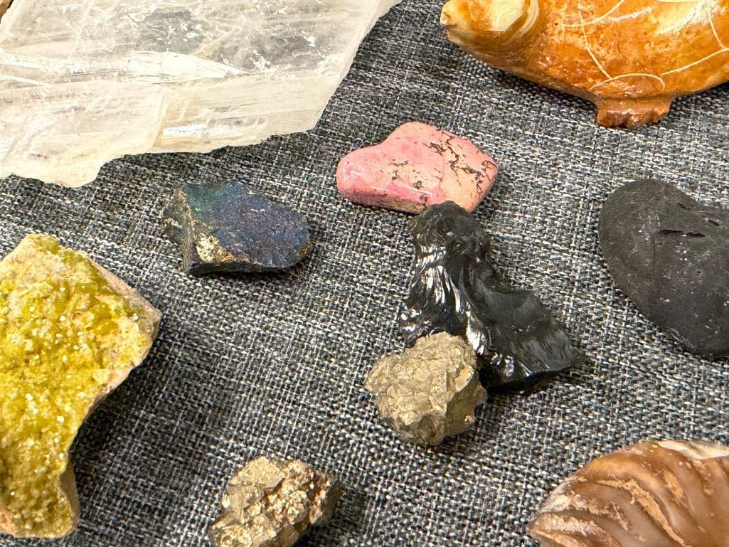 SMALL COLLECTION OF GEOLOGICAL SPECIMEN SAMPLES AND FOSSILS - 4