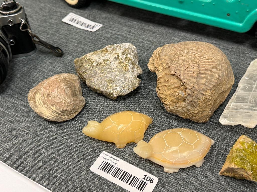 SMALL COLLECTION OF GEOLOGICAL SPECIMEN SAMPLES AND FOSSILS - 5
