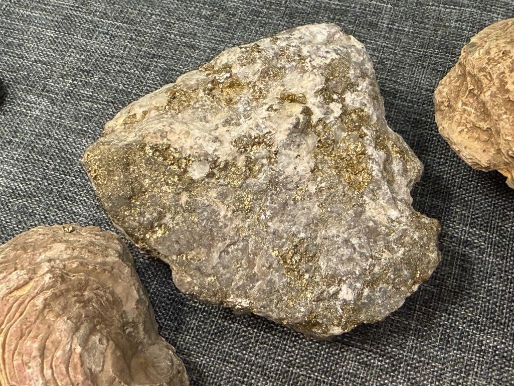 SMALL COLLECTION OF GEOLOGICAL SPECIMEN SAMPLES AND FOSSILS - 6