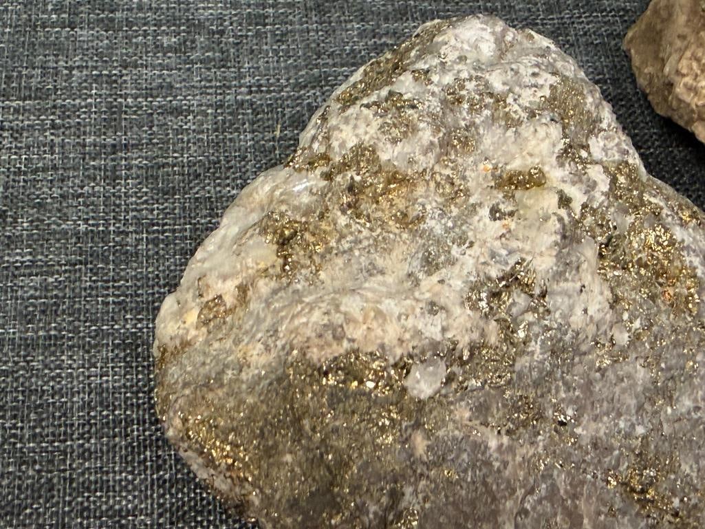 SMALL COLLECTION OF GEOLOGICAL SPECIMEN SAMPLES AND FOSSILS - 7