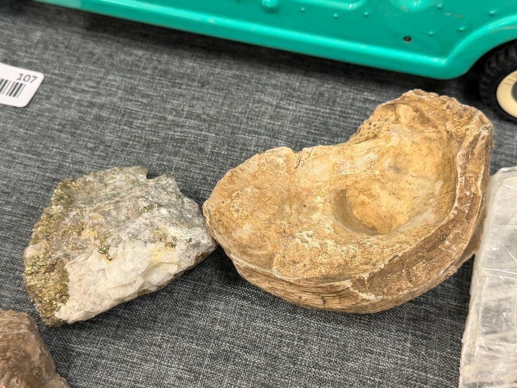 SMALL COLLECTION OF GEOLOGICAL SPECIMEN SAMPLES AND FOSSILS - 8
