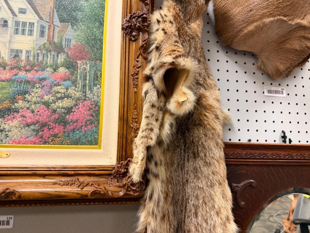 FULL BODY BOB CAT ANIMAL PELT - 2