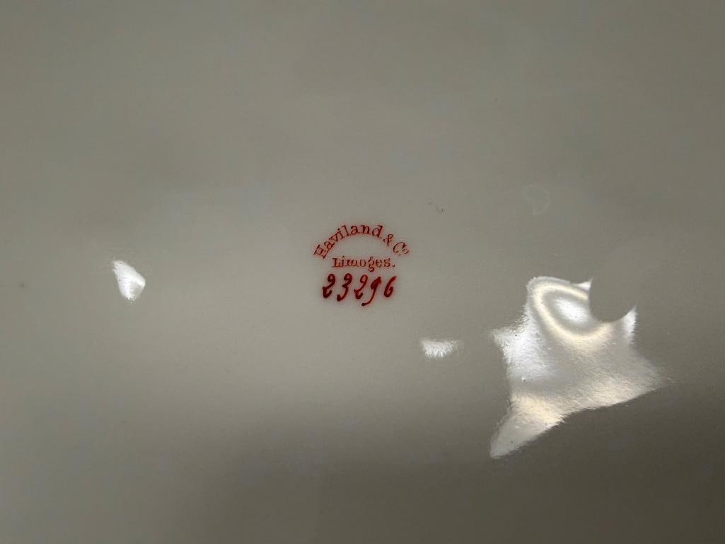 67 PIECES OF HAVILAND FRANCE LIMOGES MARQUIS PATTERN CHINA - 18