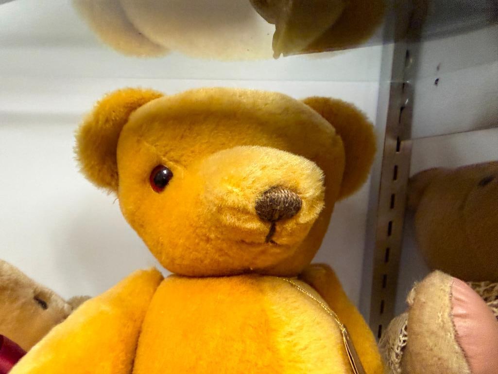 THREE COLLECTIBLE STUFFED TEDDY BEARS INCLUDING PETER BULL BULLY BEAR AND HOUSE OF NISBET BEAR - 8