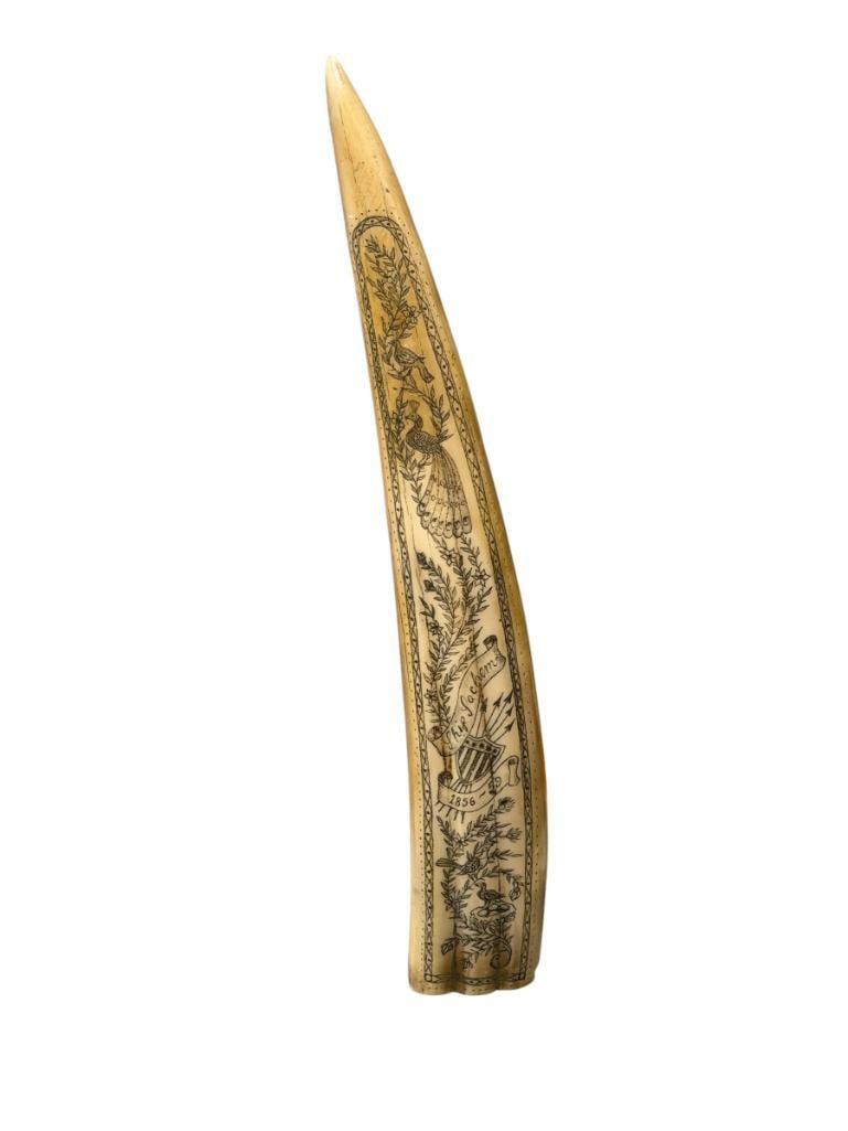REPLICA RESIN SCRIMSHAW WALRUS TUSK SCRIMSHAW NAUTICAL WHALING SCENE WITH SHIPS SHIP SACHEM (1 of 8)
