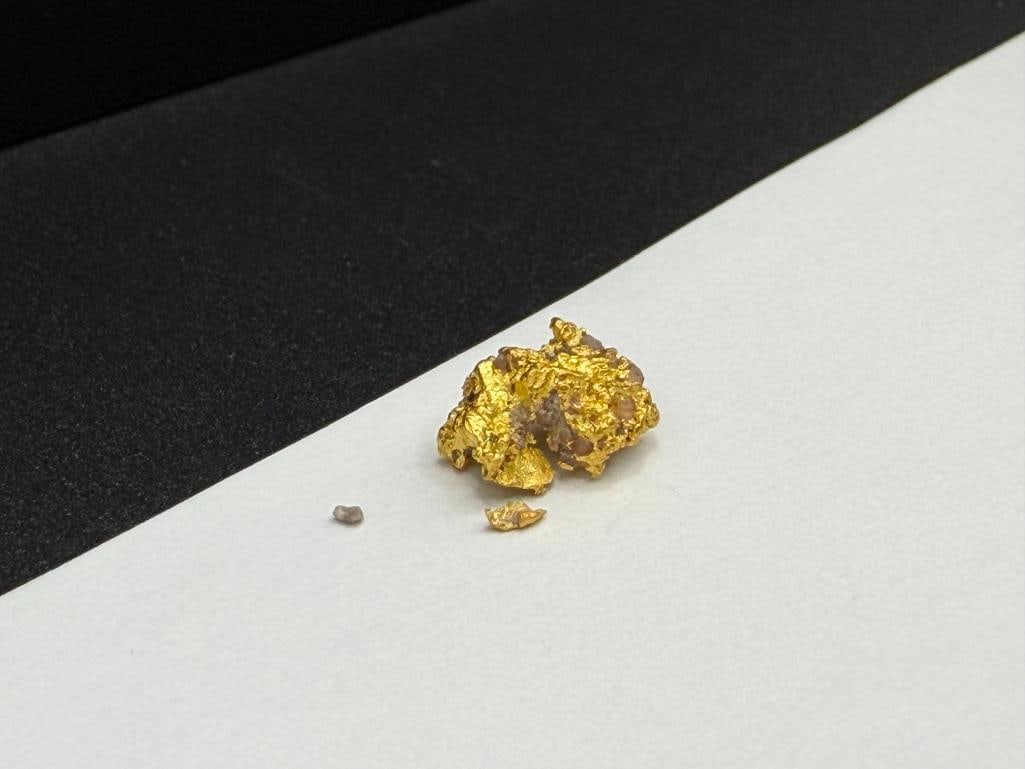 2.9 GRAM GOLD NUGGET SPECIMEN - 2