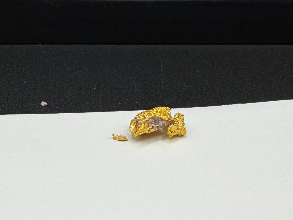 2.9 GRAM GOLD NUGGET SPECIMEN - 3