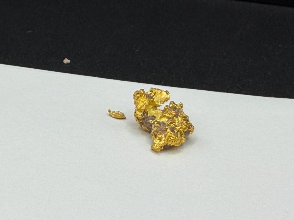 2.9 GRAM GOLD NUGGET SPECIMEN - 4