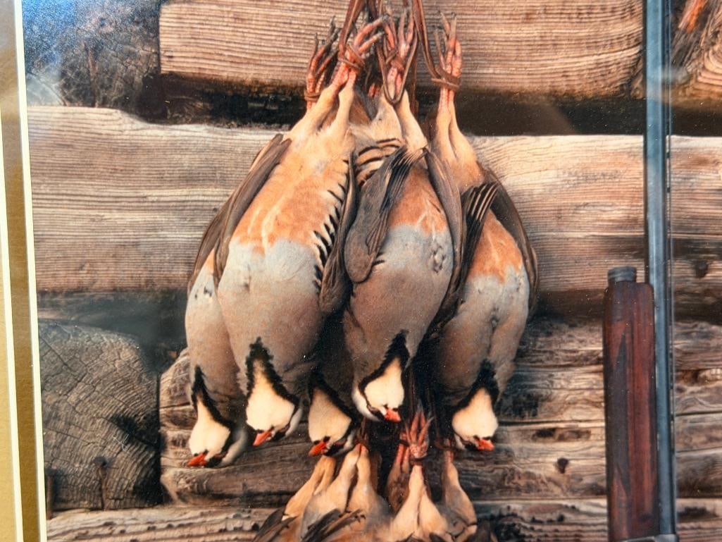 TONY DIEBOLD GERLACH, NV PHOTOGRAPHER HUNTING PHOTOGRAPH - 3
