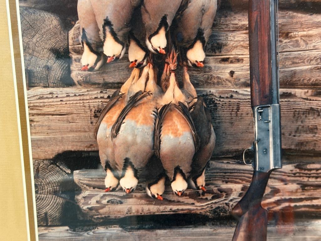 TONY DIEBOLD GERLACH, NV PHOTOGRAPHER HUNTING PHOTOGRAPH - 4