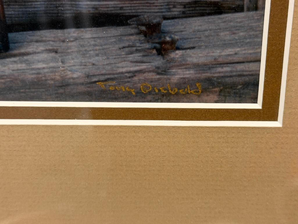 TONY DIEBOLD GERLACH, NV PHOTOGRAPHER HUNTING PHOTOGRAPH - 6