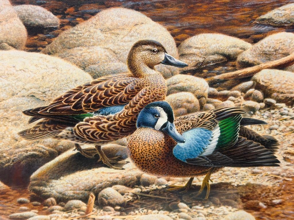 MICHAEL DUMAS LIMITED EDITION DUCK PRINT TITLED OUTFLOW NO. 188/5300 - 3