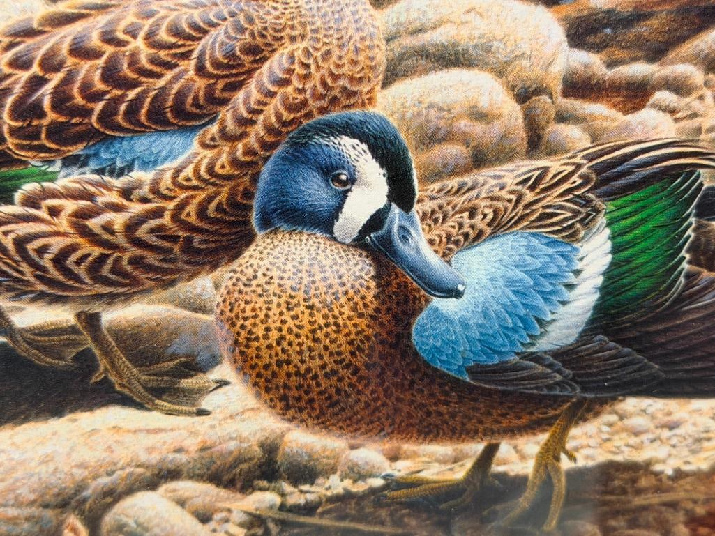 MICHAEL DUMAS LIMITED EDITION DUCK PRINT TITLED OUTFLOW NO. 188/5300 - 4