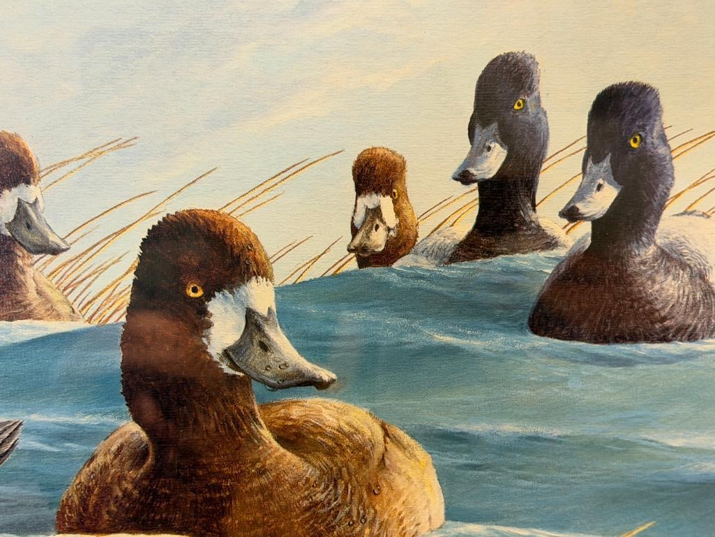 RON VAN GILDER DUCKS UNLIMITED LIMITED EDITION PRINT WINDS AND WAVES NO. 3418/3600 - 4