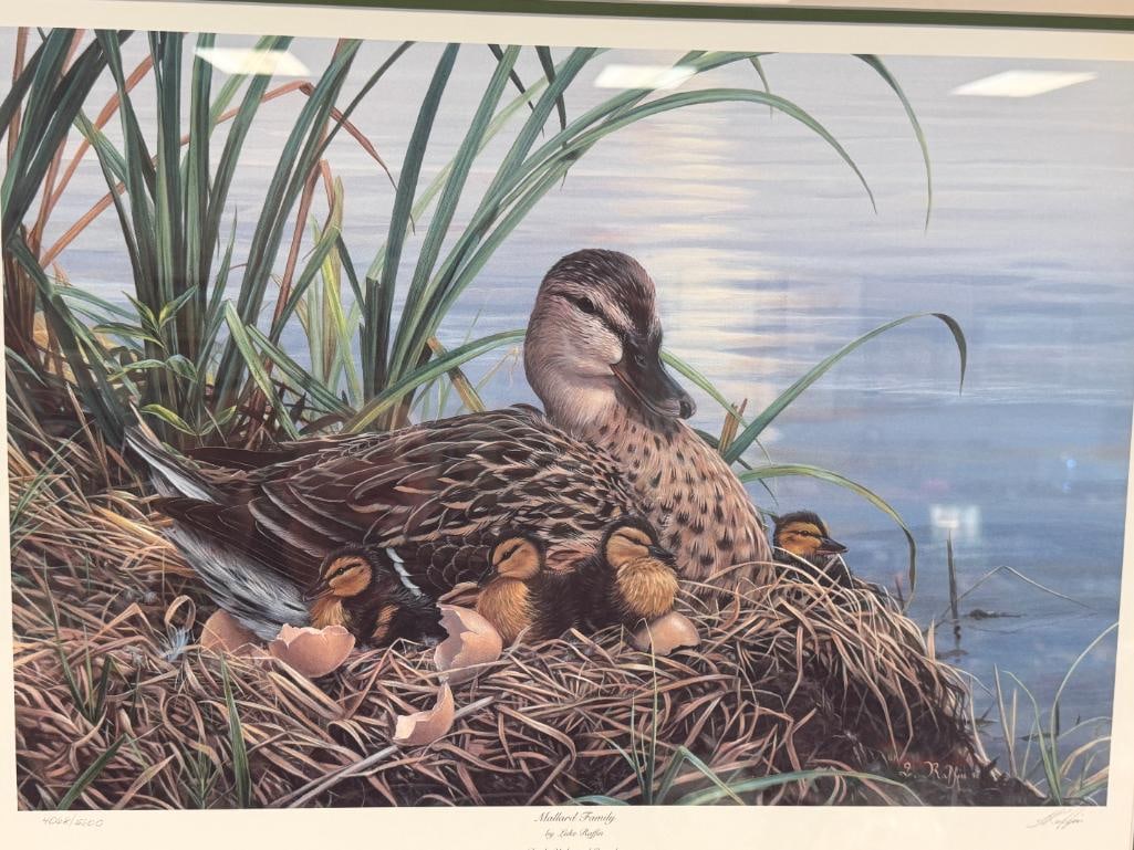 LUKE RAFFIN DUCKS UNLIMITED LIMITED EDITION PRINT MALLARD FAMILY NO. 4068/5600 - 2