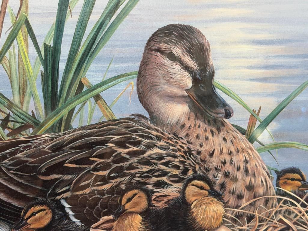 LUKE RAFFIN DUCKS UNLIMITED LIMITED EDITION PRINT MALLARD FAMILY NO. 4068/5600 - 3