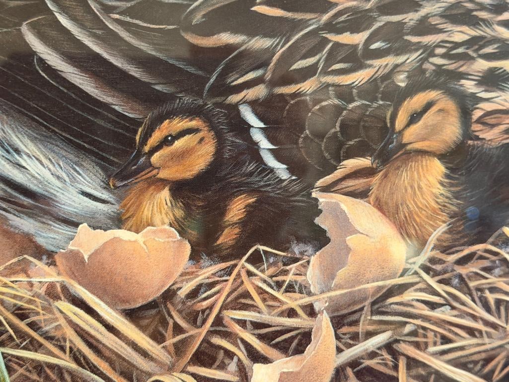 LUKE RAFFIN DUCKS UNLIMITED LIMITED EDITION PRINT MALLARD FAMILY NO. 4068/5600 - 4