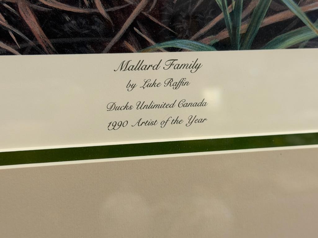 LUKE RAFFIN DUCKS UNLIMITED LIMITED EDITION PRINT MALLARD FAMILY NO. 4068/5600 - 5