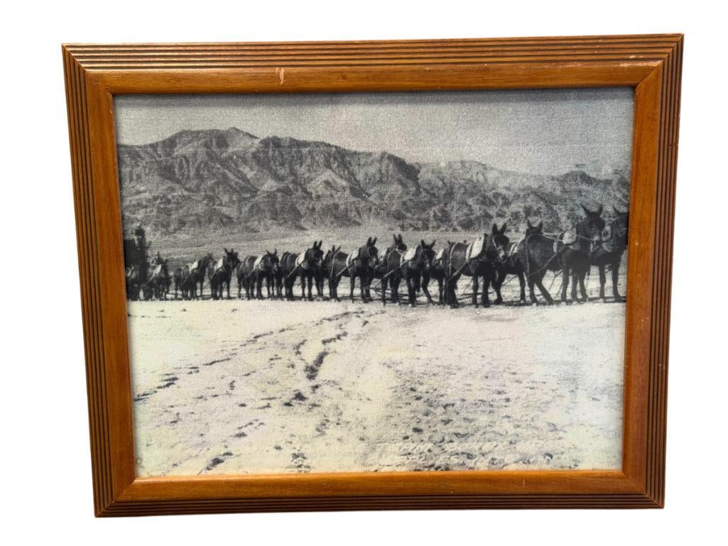 BLACK AND WHITE PHOTOGRAPH PRINT OF A 20-MULE PULLING TEAM ACROSS DESERT LANDSCAPE: 16" X 13" FRAME