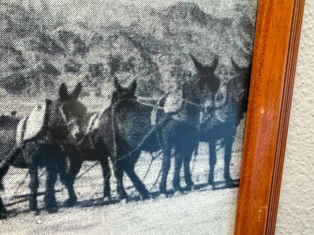 BLACK AND WHITE PHOTOGRAPH PRINT OF A 20-MULE PULLING TEAM ACROSS DESERT LANDSCAPE - 5