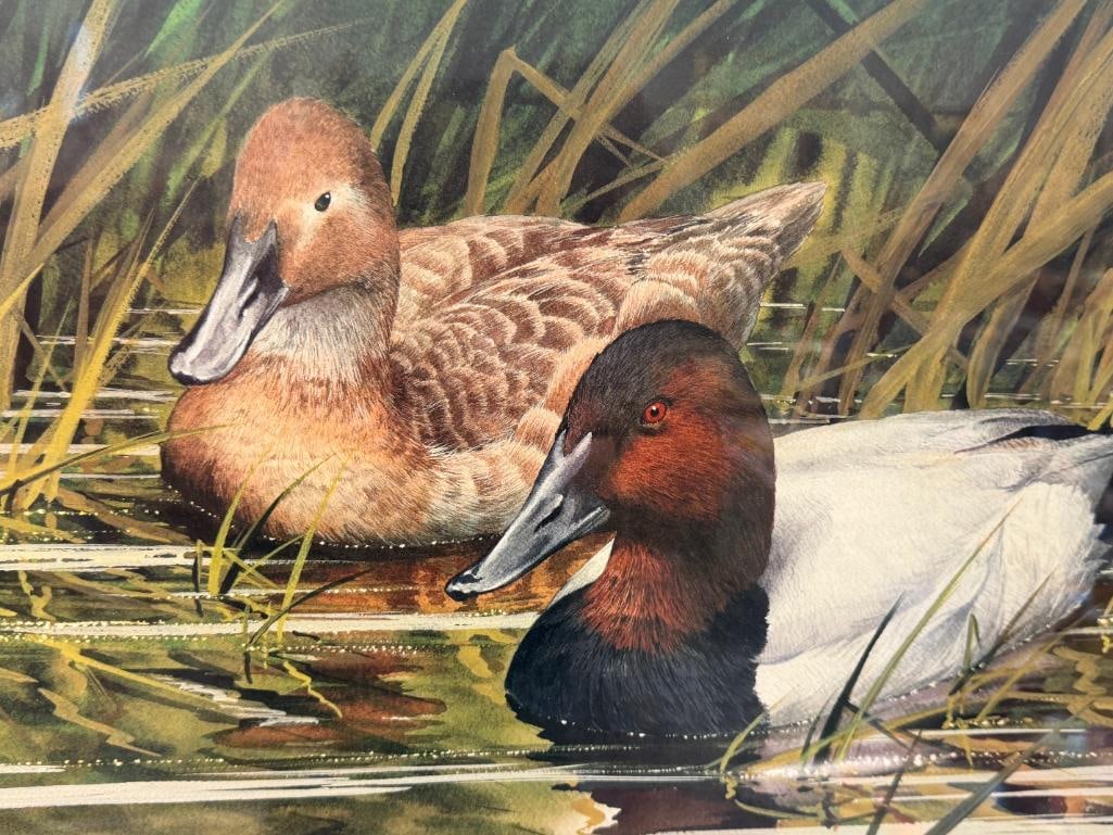 JOE GARCIA WILDLIFE ARTIST LIMITED EDITION PRINT HIDEAWAY NO. 3108/5300 - 3