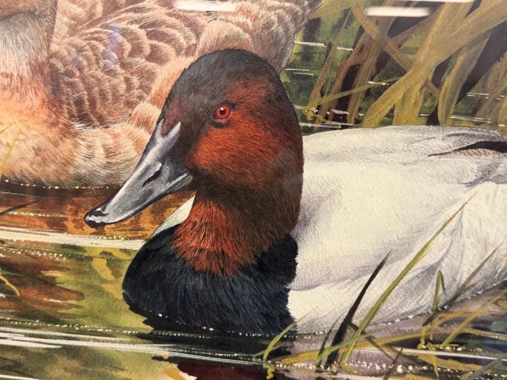 JOE GARCIA WILDLIFE ARTIST LIMITED EDITION PRINT HIDEAWAY NO. 3108/5300 - 4