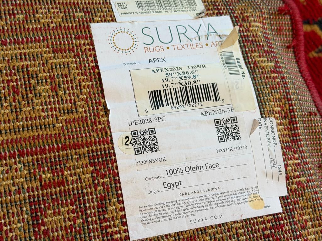 SURYA APEX COLLECTION EGYPT MADE OLEFIN AREA RUG - 6