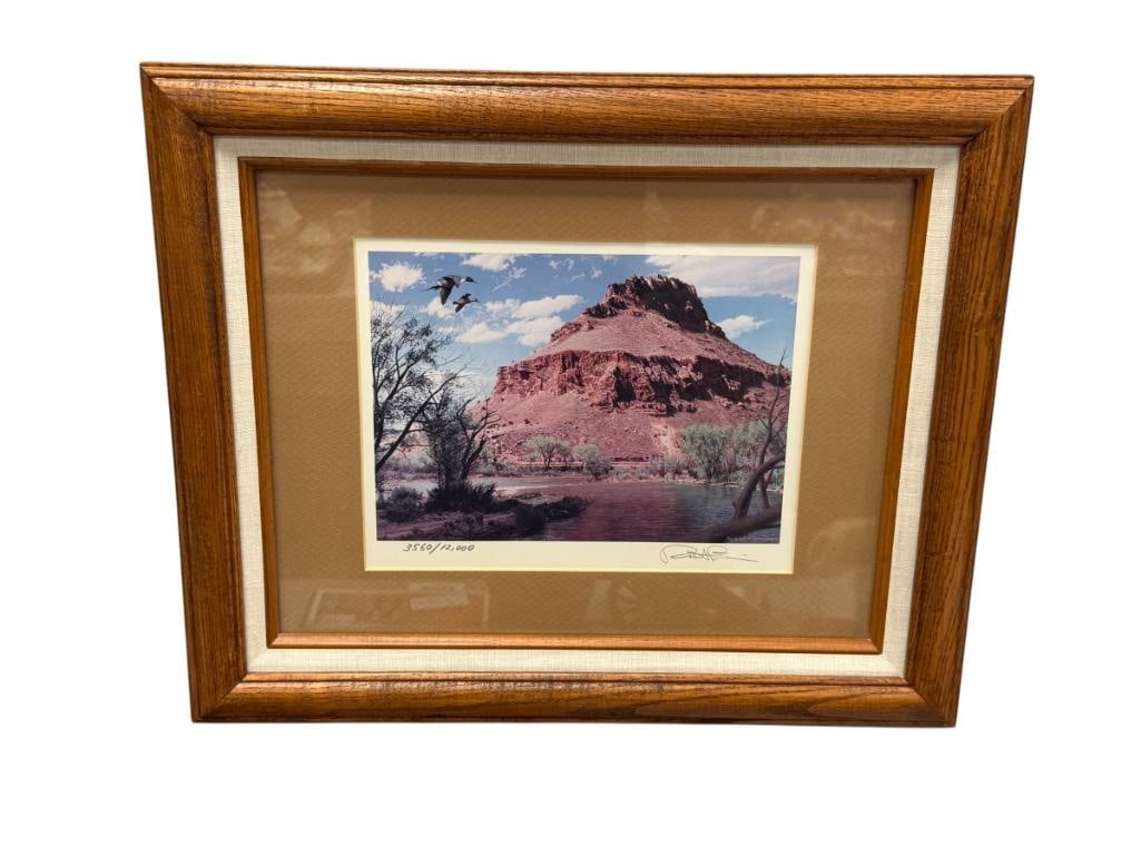 ROBERT STEINER WILDLFIE ARTIST LIMITED EDITION PRINT NO. 3560/12000 (1 of 7)