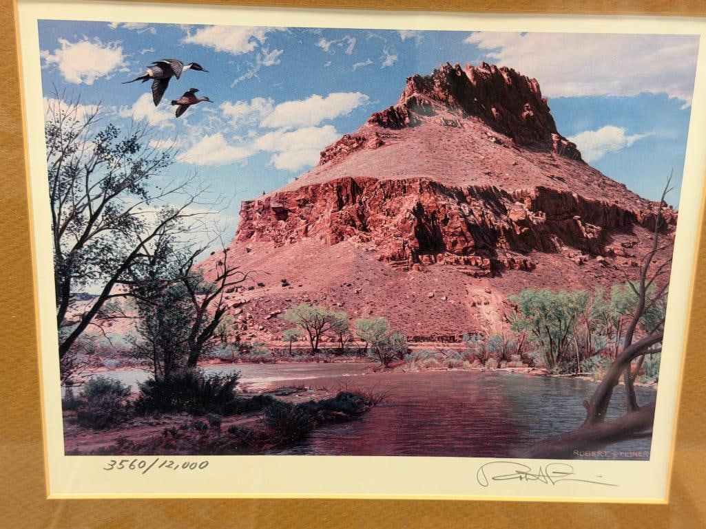ROBERT STEINER WILDLFIE ARTIST LIMITED EDITION PRINT NO. 3560/12000 - 2