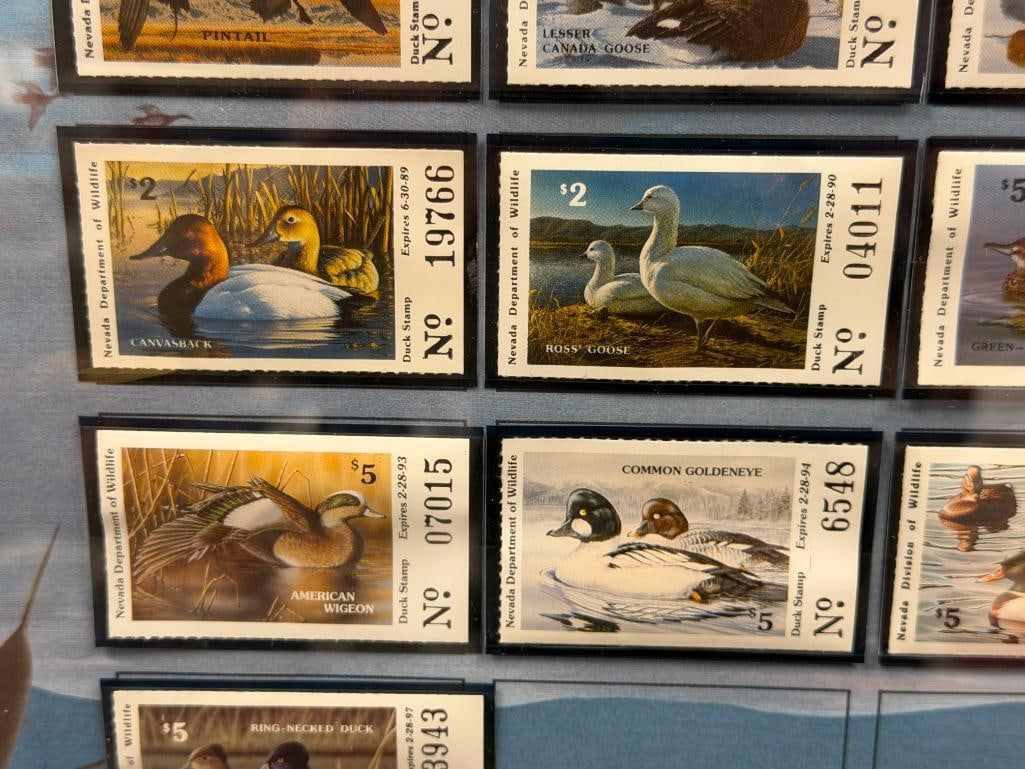 MEL MATHEWSON CALIFORNIA / NEVADA ARTIST NEVADA DUCK STAMPS PRINT WITH YEARLY STAMPS 1979 - 2000 - 5
