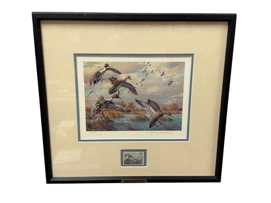 HARRY C. ADAMSON WILDLIFE ARTIST LIMITED EDITION DUCKS UNLIMITED 1989 DUCK STAMP PRINT NO. 2385/5...: PRINT DEPICTS PINTAIL DUCKS FLYING OVER A MARSH, SIGNED LOWER RIGHT, CERTIFICATE ON THE BACK, FRAMED 17" X 15 3/4" FRAME