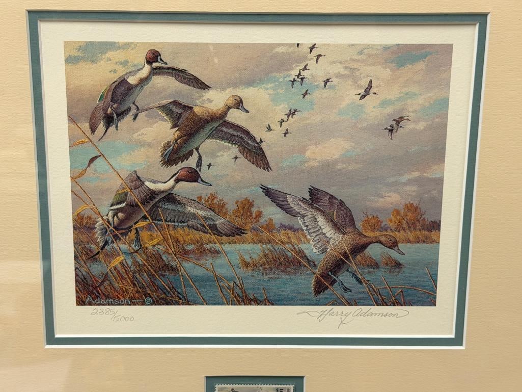 HARRY C. ADAMSON WILDLIFE ARTIST LIMITED EDITION DUCKS UNLIMITED 1989 DUCK STAMP PRINT NO. 2385/5... - 2