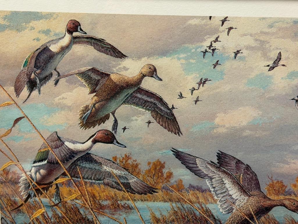HARRY C. ADAMSON WILDLIFE ARTIST LIMITED EDITION DUCKS UNLIMITED 1989 DUCK STAMP PRINT NO. 2385/5... - 3