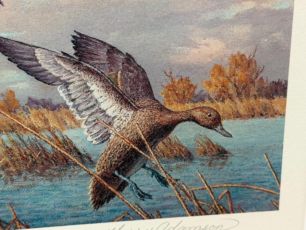 HARRY C. ADAMSON WILDLIFE ARTIST LIMITED EDITION DUCKS UNLIMITED 1989 DUCK STAMP PRINT NO. 2385/5... - 4