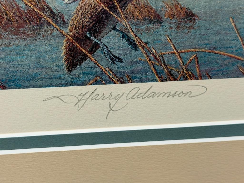 HARRY C. ADAMSON WILDLIFE ARTIST LIMITED EDITION DUCKS UNLIMITED 1989 DUCK STAMP PRINT NO. 2385/5... - 5