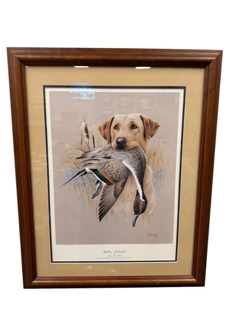 JAMES H. KILLEN DUCKS UNLIMITED GREAT AMERICAN SPORTING DOG COLLECTION PRINT YELLOW LABRADOR: PRINT DEPICTS PORTRAIT OF A YELLOW LABRADOR WITH DUCK IN ITS MOUTH, NO. 4519/5500, SIGNED LOWER RIGHT, FRAMED 23 1/2" X 29" FRAME