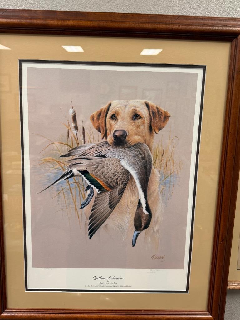 JAMES H. KILLEN DUCKS UNLIMITED GREAT AMERICAN SPORTING DOG COLLECTION PRINT YELLOW LABRADOR - 2