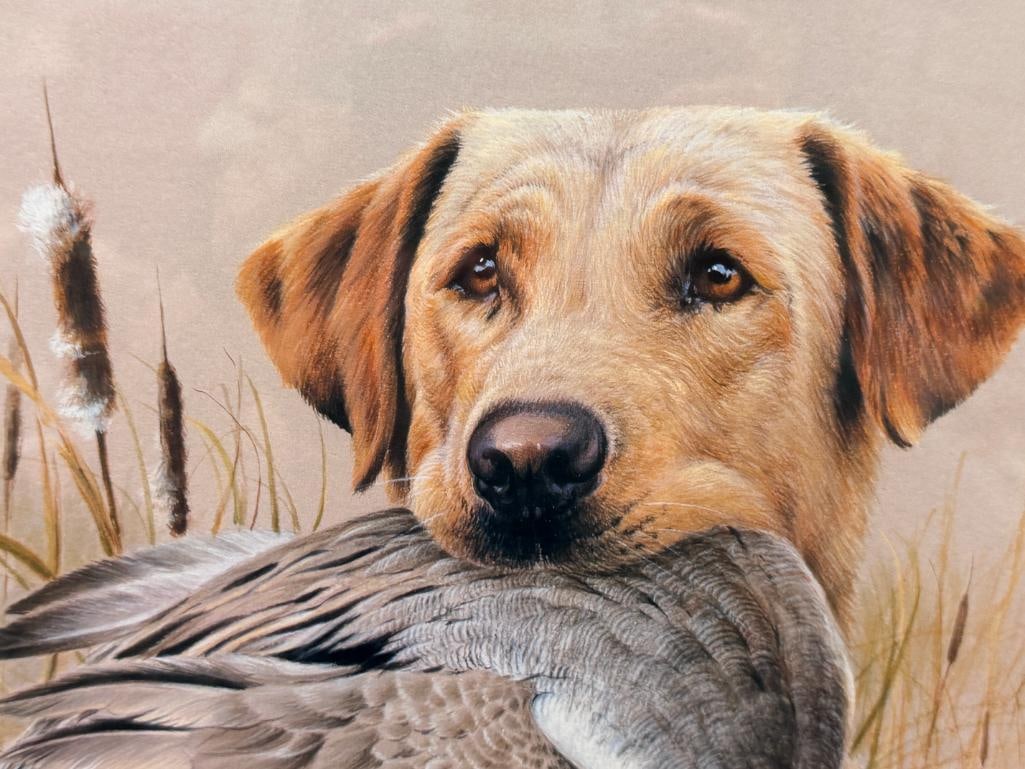 JAMES H. KILLEN DUCKS UNLIMITED GREAT AMERICAN SPORTING DOG COLLECTION PRINT YELLOW LABRADOR - 3