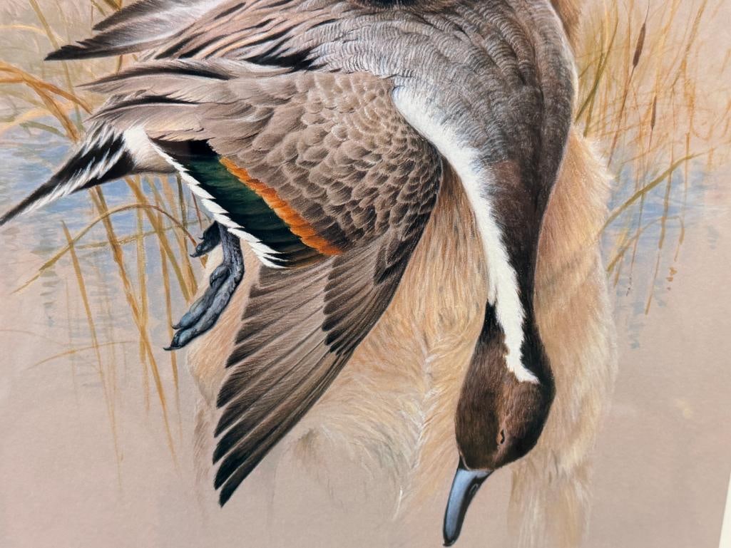 JAMES H. KILLEN DUCKS UNLIMITED GREAT AMERICAN SPORTING DOG COLLECTION PRINT YELLOW LABRADOR - 4