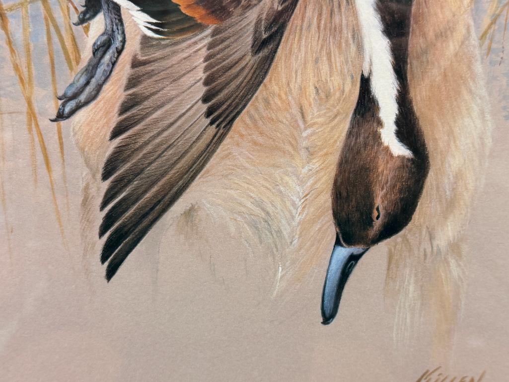 JAMES H. KILLEN DUCKS UNLIMITED GREAT AMERICAN SPORTING DOG COLLECTION PRINT YELLOW LABRADOR - 5