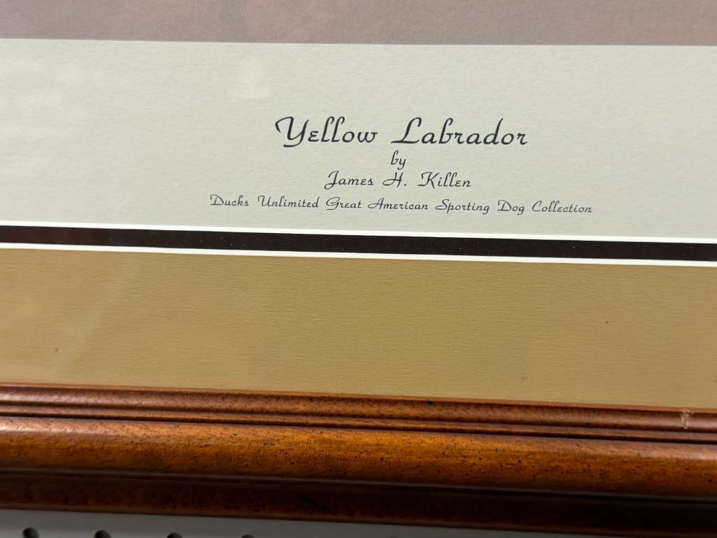 JAMES H. KILLEN DUCKS UNLIMITED GREAT AMERICAN SPORTING DOG COLLECTION PRINT YELLOW LABRADOR - 6