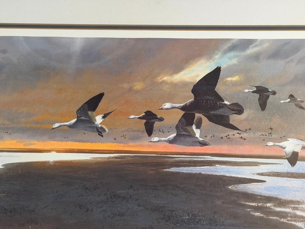 JOHN COWAN DUCKS UNLIMITED FLYWAY COLLECTION LIMITED EDITION PRINT SNOWS AT DAWN NO. 207/5300 - 3